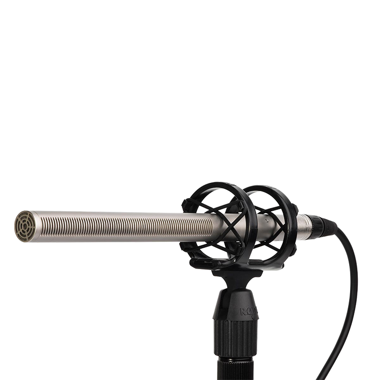 NTG3 槍型麥克風
