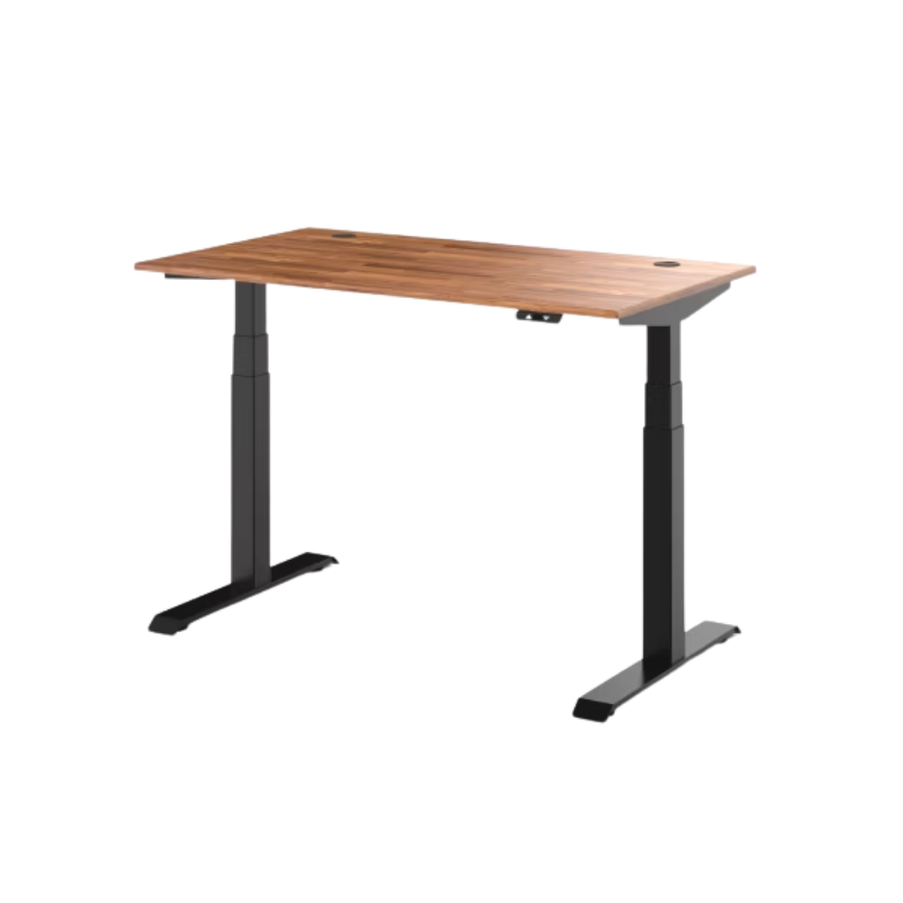 Dyback 04 電動升降桌 旗艦款