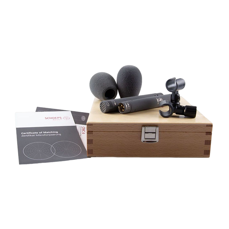 Stereo Set 電容式麥克風組 （MK5）